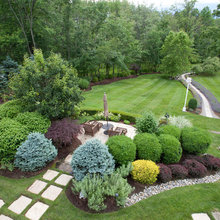 My backyard!