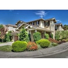 Front Yard Landscapting