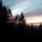 Ellen Ross's photo