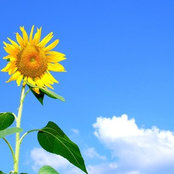 Danielle Von Schriltz's photo