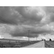 Donna Greene's photo