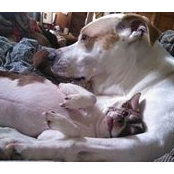 Debbie Archambault's photo
