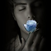 Shahriful Anuar's photo