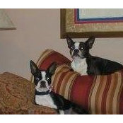 Paula Smead's photo