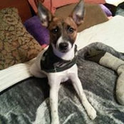 Tracey Iverson's photo