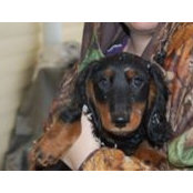 Michael Alford's photo