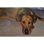 Quinn Keller's photo