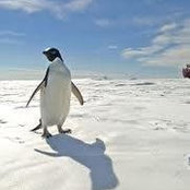 Dennis Heim's photo