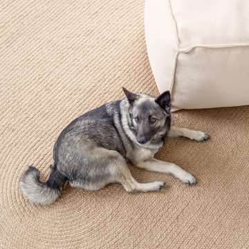 Dash & Albert Rugs