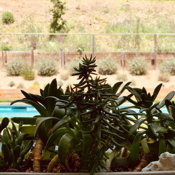 OPEN SPACE POOL