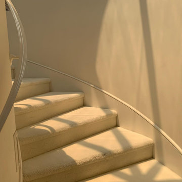 Carpet, Rug, and Upholstery Cleaning Services