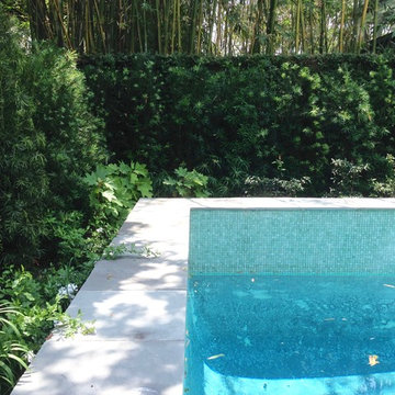 Green Hideaway