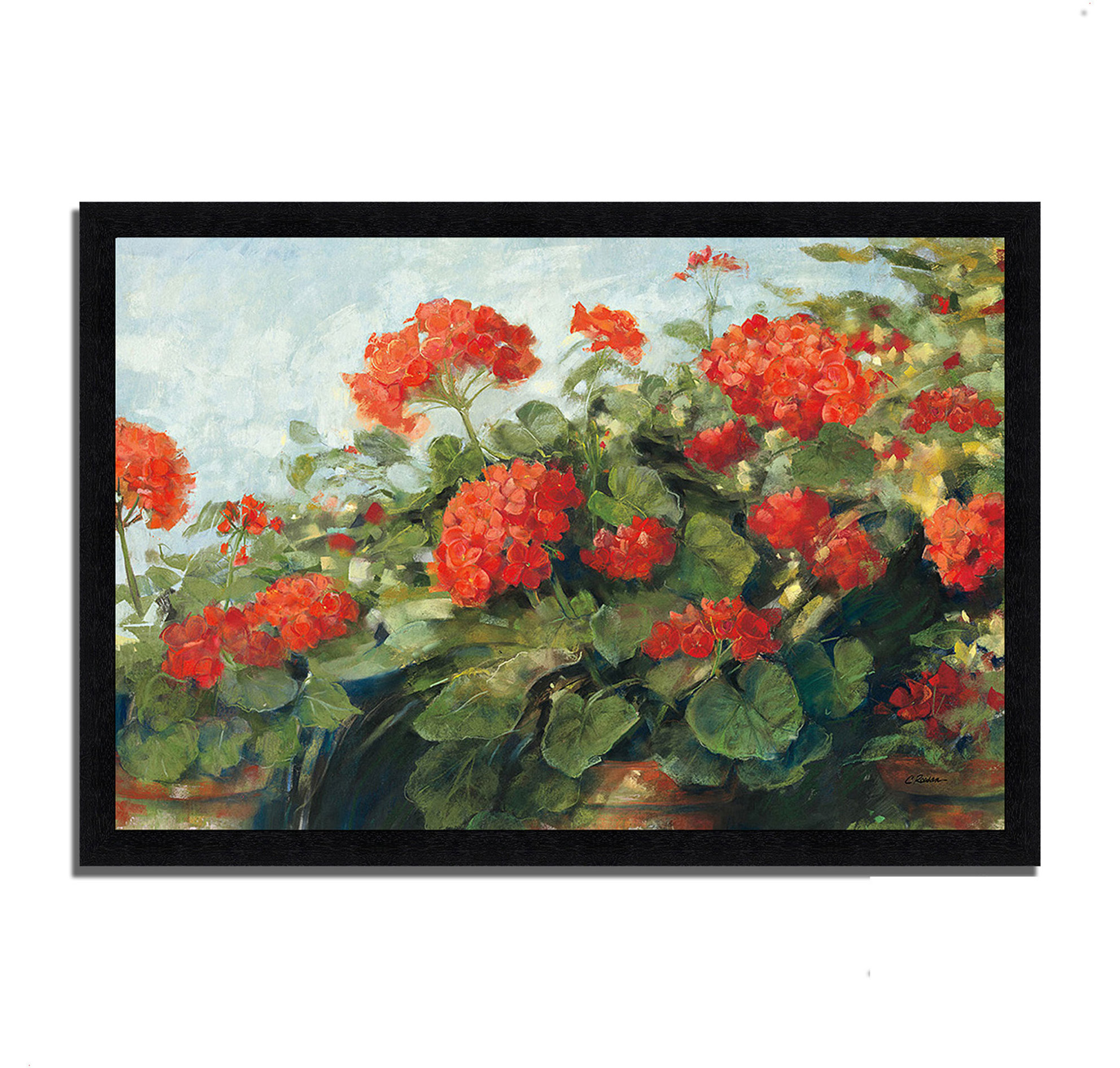 Wave Geranium