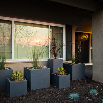 Santa Clara Modern