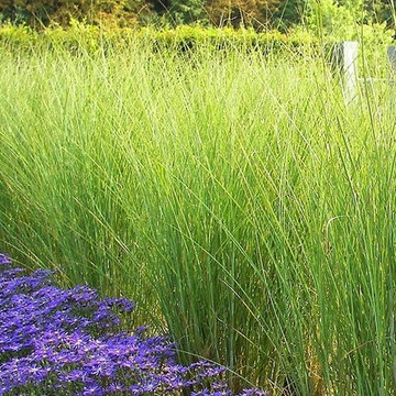 Stunning Gardens