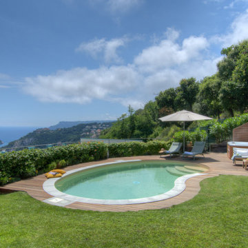 Vedo l'isola