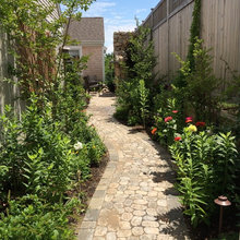 Outdoor Landscaping 2016