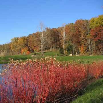 Sinquefield Reserve