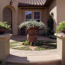 front yard