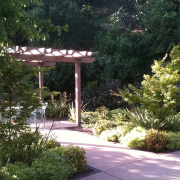 San Rafael Hillside renovation