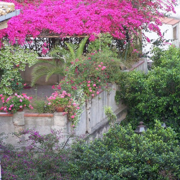Terrazza fiorita