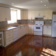 basement suite reno