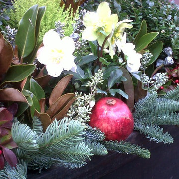 Christmas window boxes in Brooklyn