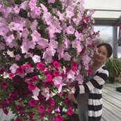 黃憶婷さんの写真