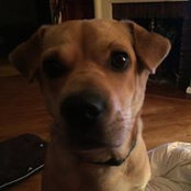 Jesse Dunham's photo