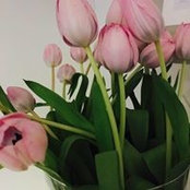Aroza Eryilmaz's photo
