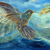 sandra Rodriguez's photo