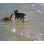 Flavius Ianovan's photo