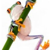 Dave Lewis's photo