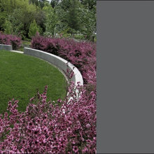 ADU Landscape
