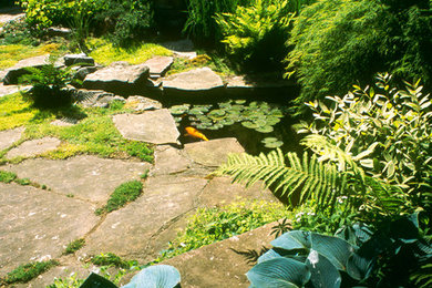 На фото: участок и сад в современном стиле с