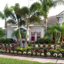 Landscape Ideas