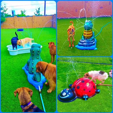 Portable Splash Pad for your backyard