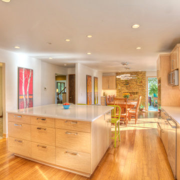 Bright Contemporary Kitchen