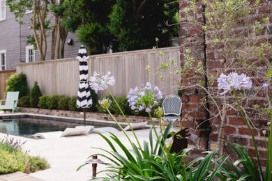 Backyard Oasis