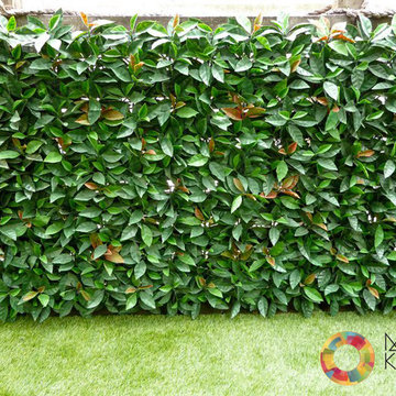Ranka Lasting Greenery