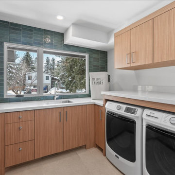 Park Meadows Remodel