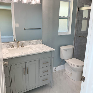 Lithia Full-Home Renovation