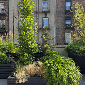 Carroll Gardens Rooftop Terrace