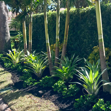 Recent Landscape Designs