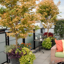 Rooftop terrace