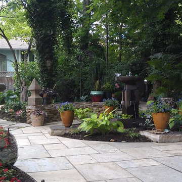 DC Back Yard Re-Programming