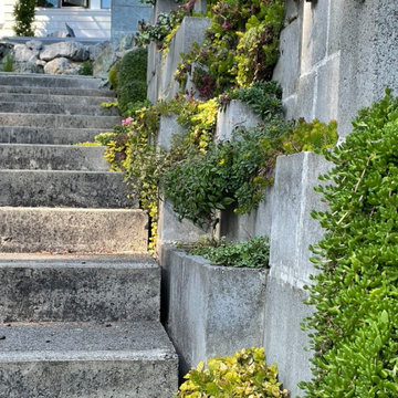Seaside Plant Design/Install
