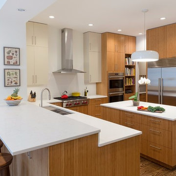 Contemporary Kitchen