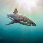 Gemma Gilbert's photo