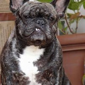 Maureen Calamia's photo